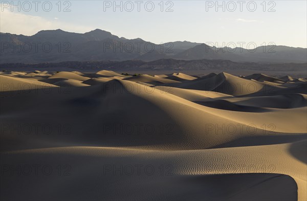 Mesquite Flat Sand Dunes in the early morning