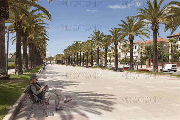 Palm promenade