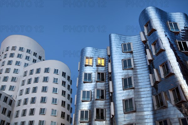 Gehry Buildings