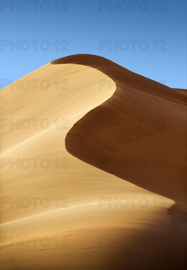 Sahara sand dunes of erg Chebbi
