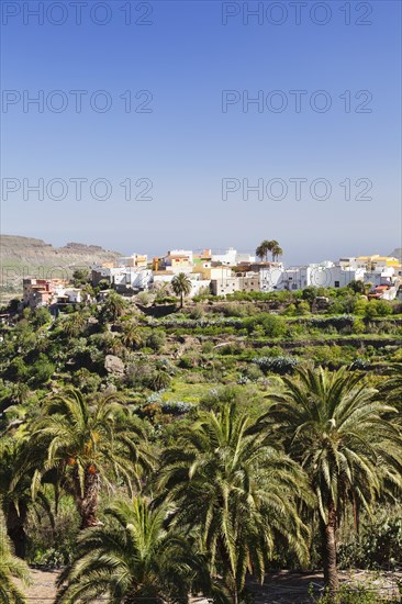 Townscape San Bartolome de Tirajana