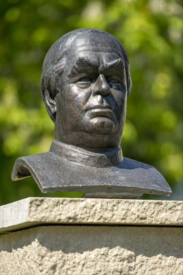 Bust