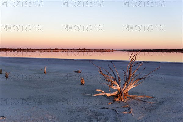 Lake Ninan