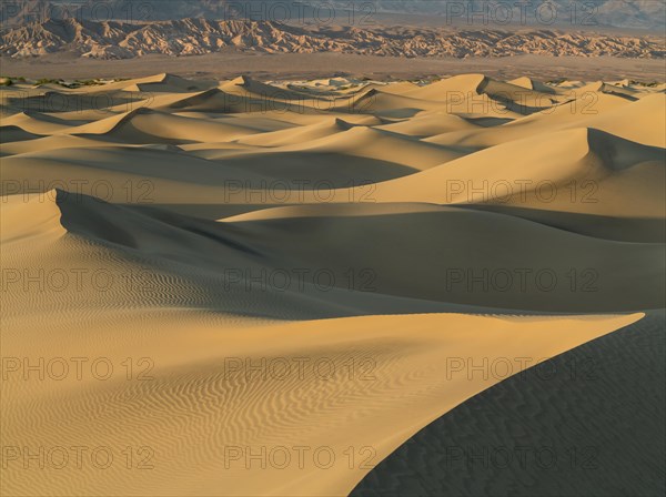 Mesquite Flat Sand Dunes in the evening light