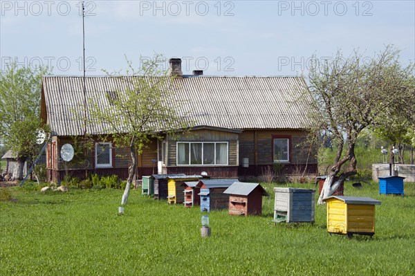 Beehives in front of a house