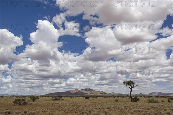 Mountains in the Namib Desert