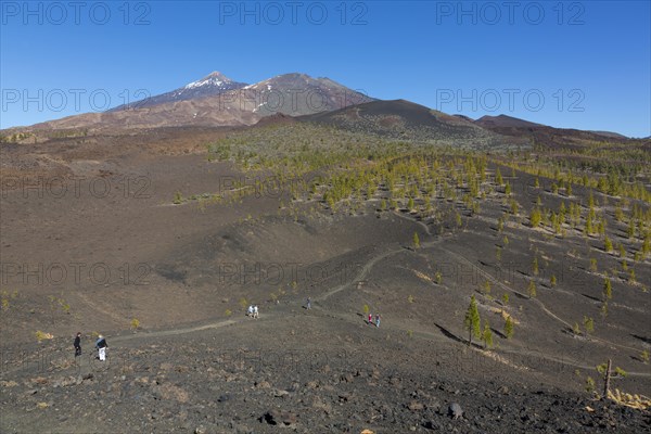 View of Mount Teide