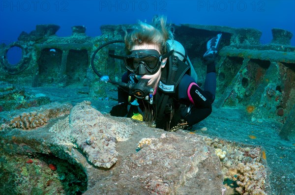 Scuba diver looking at a Tentacled Flathead (Papilloculiceps longiceps)