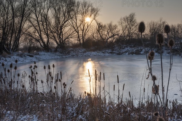 Pond in winter covered with ice