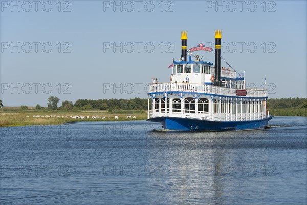 River Star paddle steamer on the Prerower Strom river