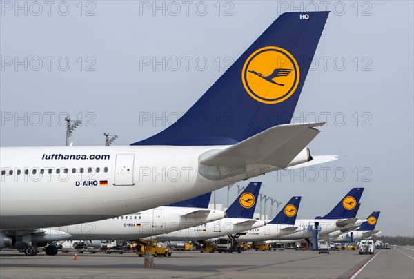 Aircrafts of the Deutsche Lufthansa AG on their parking positions in Terminal 2