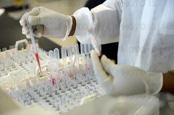 A lab technician is analysing blood samples in a laboratory