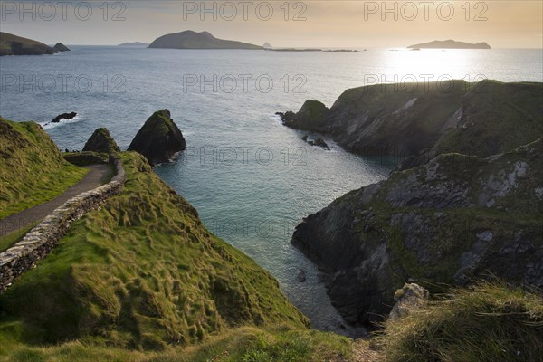 Coast and cliffs at Dunquin Harbor