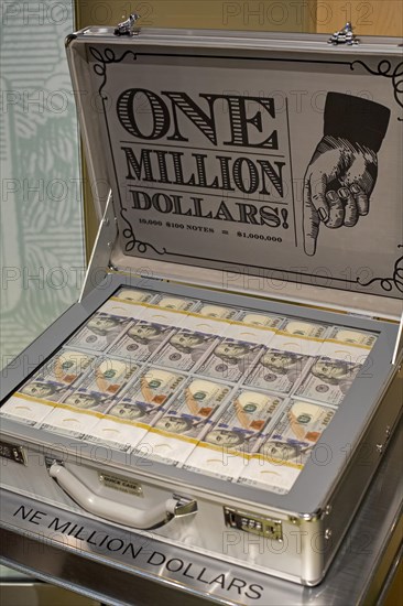 Million dollar suitcase