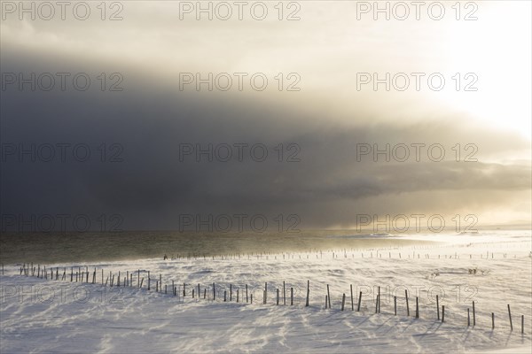 Snow drifts in the fjord