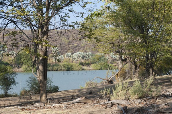 Kunene River