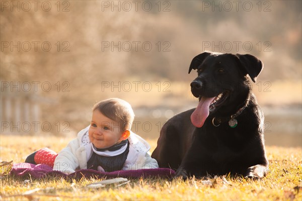 Toddler lying beside a dog