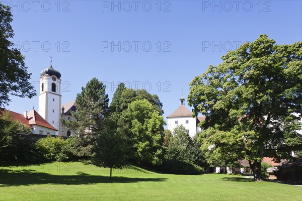 Church and castle of Wolfegg