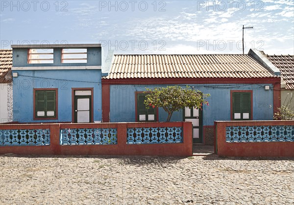 Colourful house with a flowering hibiscus tree