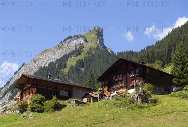 Mountain farms