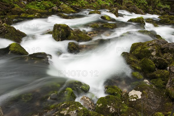 Brook with moss-covered stones