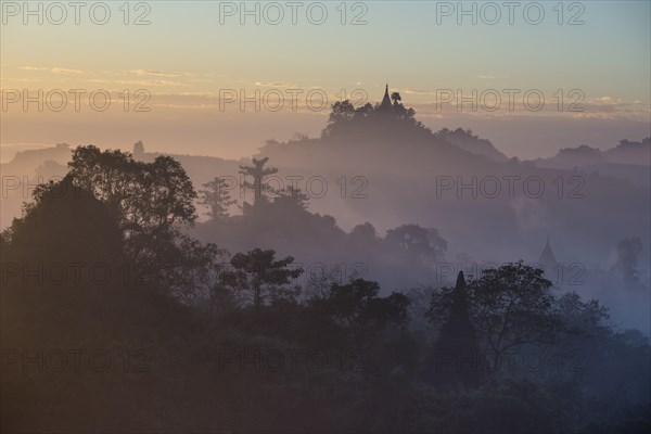 Pagodas surrounded by trees