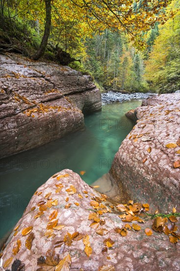 The Taugl river