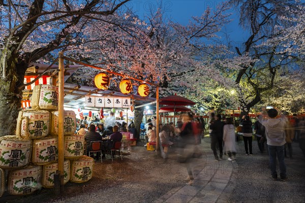 Food stalls at the cherry blossom festival