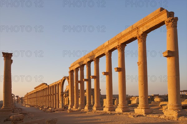 Ruins of the ancient city of Palmyra in the morning light