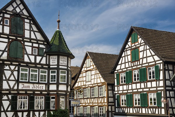 Half-timbered houses