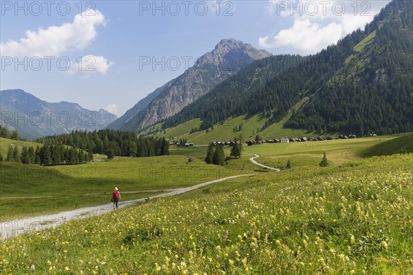 Nenzinger Himmel alpine meadow with Fundelkopf