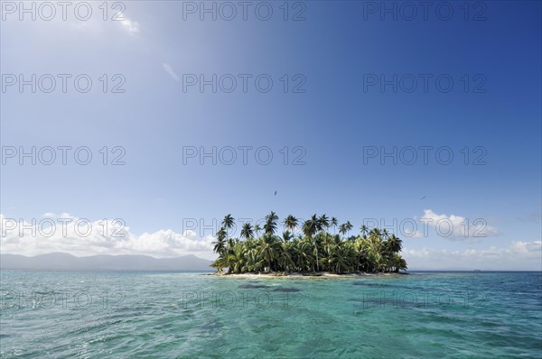 Tropical islands with palm trees