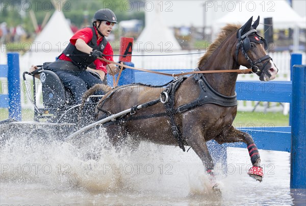 Horse-drawn carriage passing through a water ditch