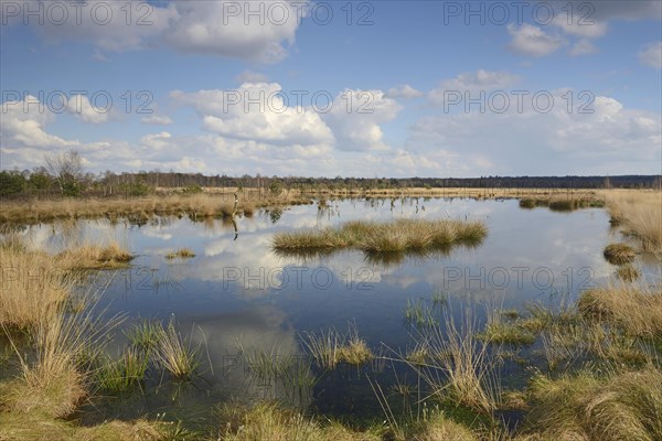 Rewetted moor