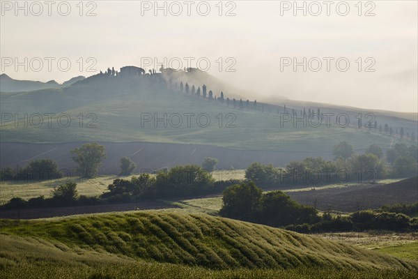 Fog in the valleys of the Crete Senesi