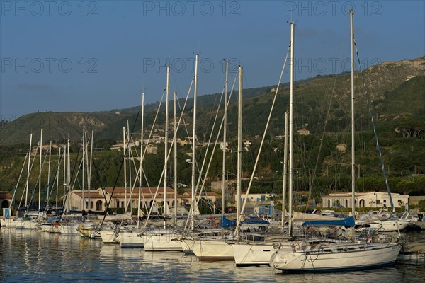 Sailing boats in the harbor