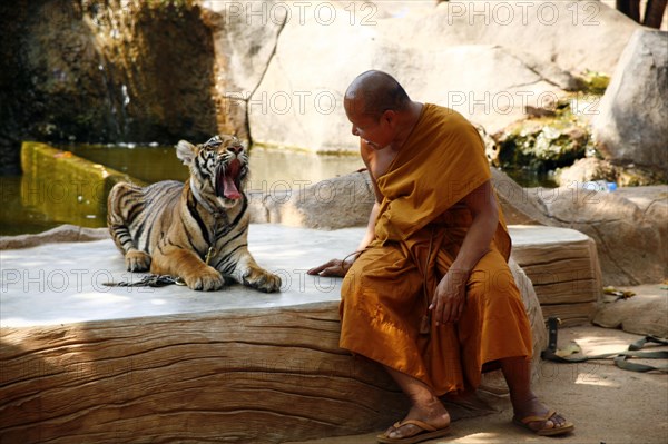 Tiger Temple or Wat Pa Luangta Bua