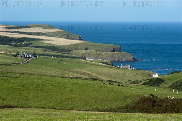 Coast at Pennan