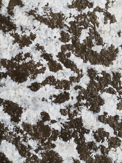 Detailed view of salt deposits on salt marshes in the central Death Valley