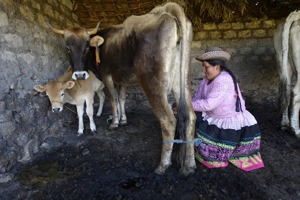 Farmer