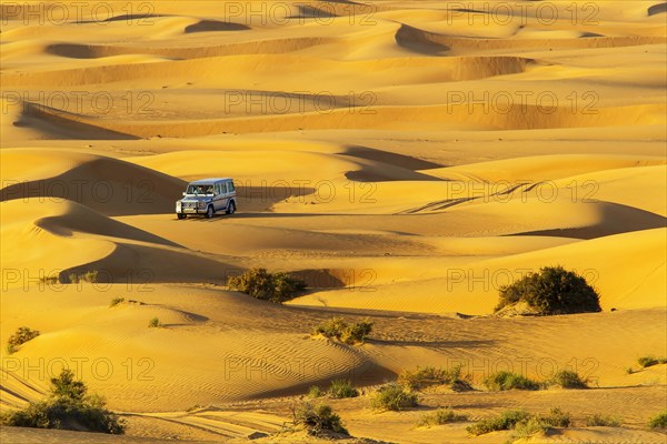 Safari jeep