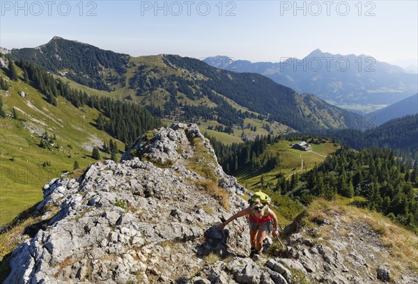 View from Mt Taubenstein