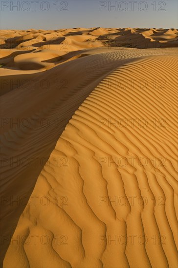 Patterns of the sand dunes of the Wahiba Sands desert