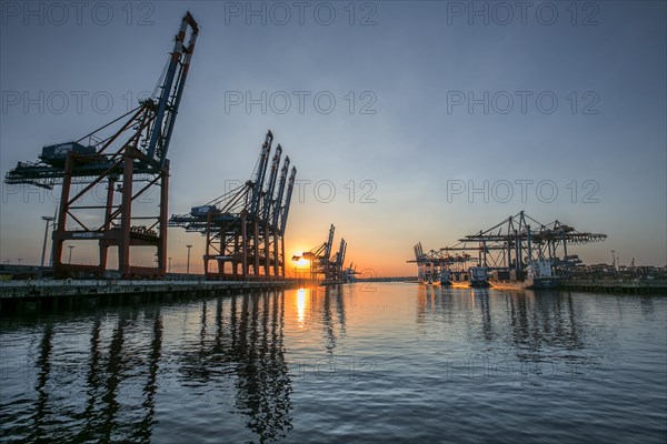 Waltershofer Damm 1 with the gantry cranes of Burchardkai and the Eurogate Container Terminal