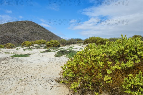 Sandy beach