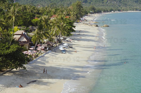 Beach with palm trees