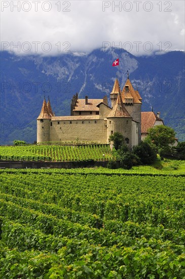 Chateau d' Aigle or Aigle Castle