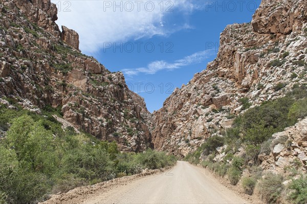 Road to the Swartberg mountain pass