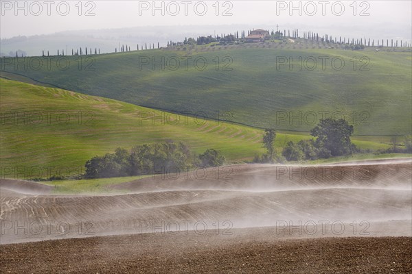 Fog over fields of the Crete Senesi