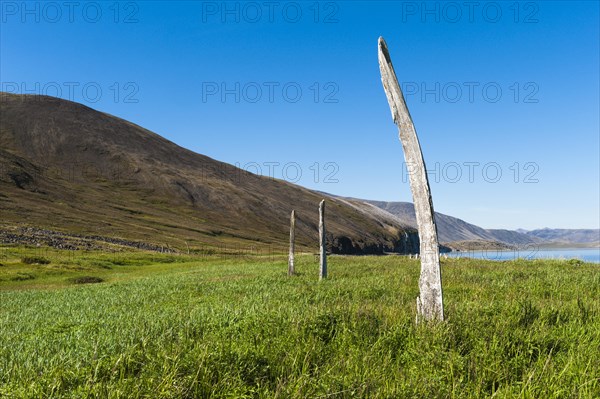 Whale Bone Alley